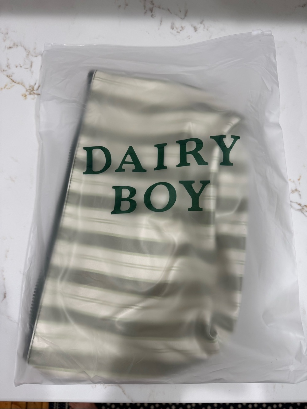 Dairy Boy Vinyl Cosmetic Makeup Bag with Blue and Green Plaid Lining- LARGE